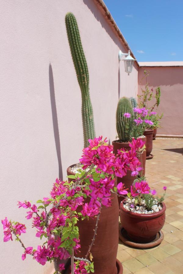 Riad El Arco Rooftop Pool & Spa Marrakesh Luaran gambar